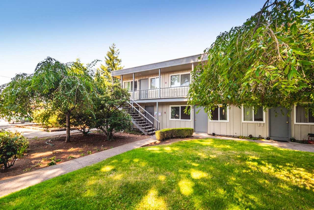 Peaceful Living Beneath the Fir Trees - Photo 3 of 6