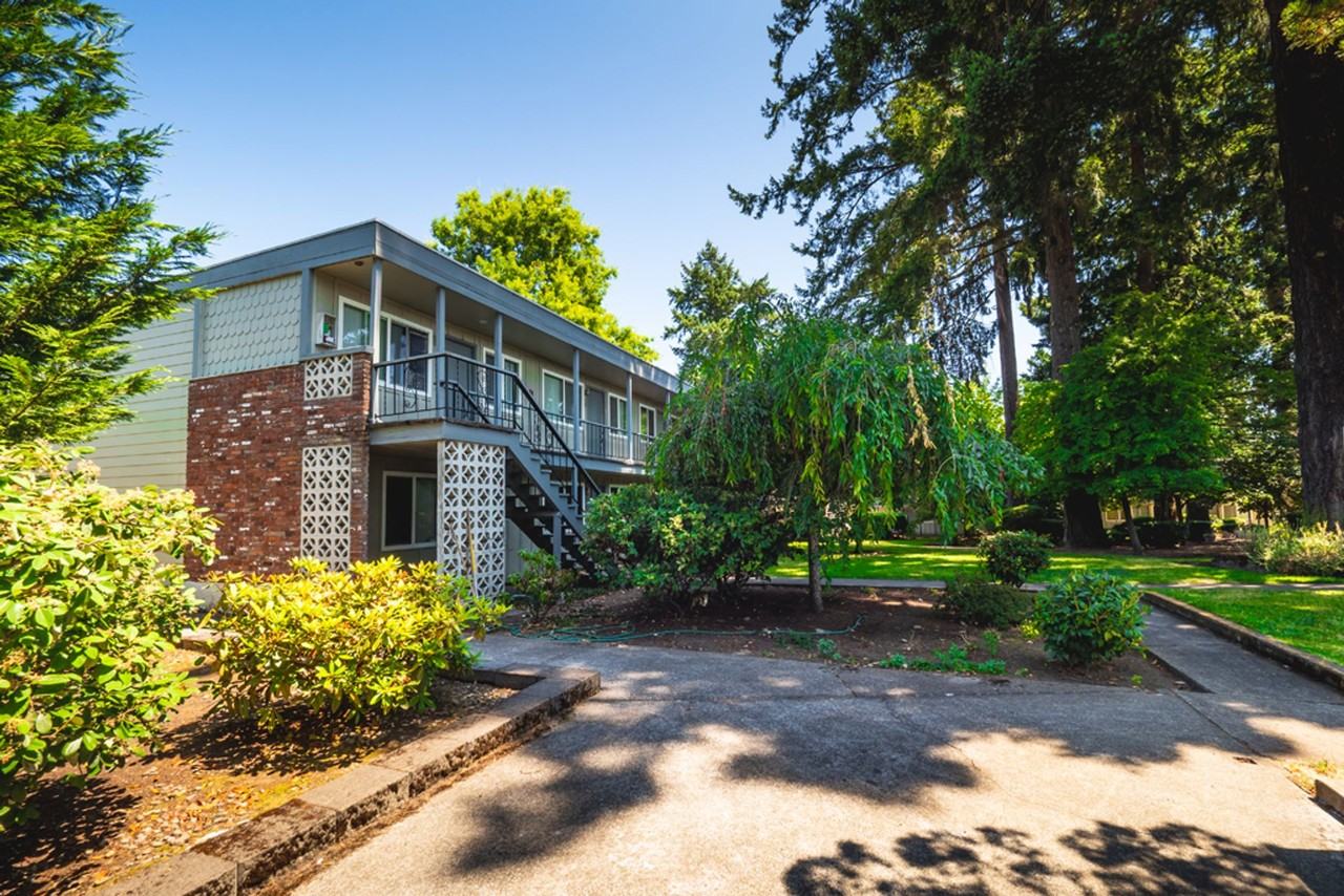 Peaceful Living Beneath the Fir Trees - Photo 4 of 6