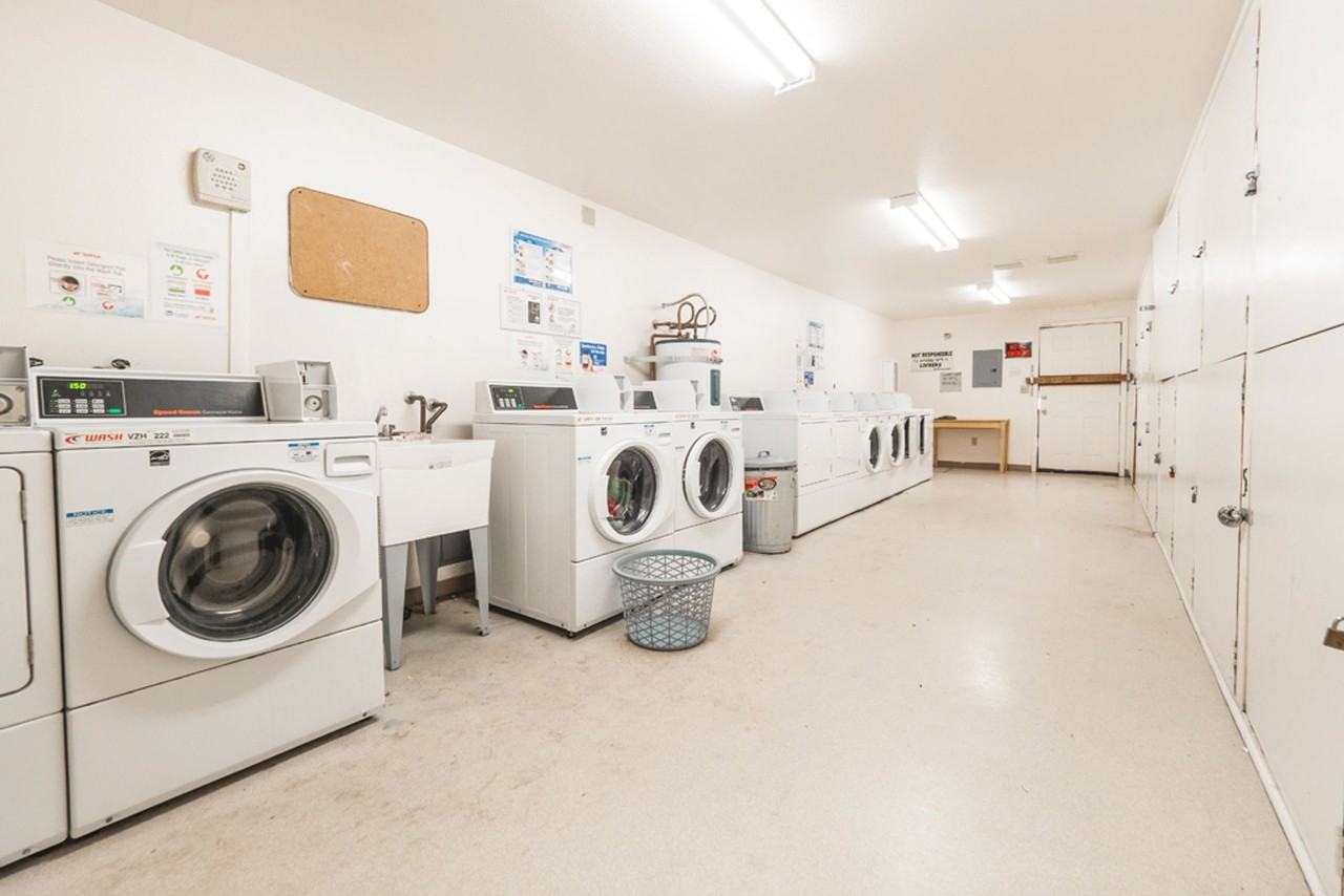 Peaceful Living Beneath the Fir Trees - Photo 6 of 6