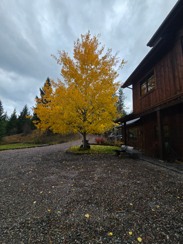 13521 Bug Creek Rd - Photo 2 of 14