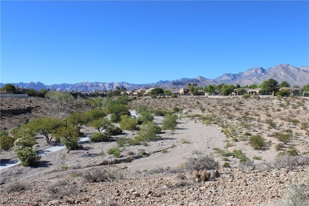 733 Chase Tree St - Photo 4 of 29