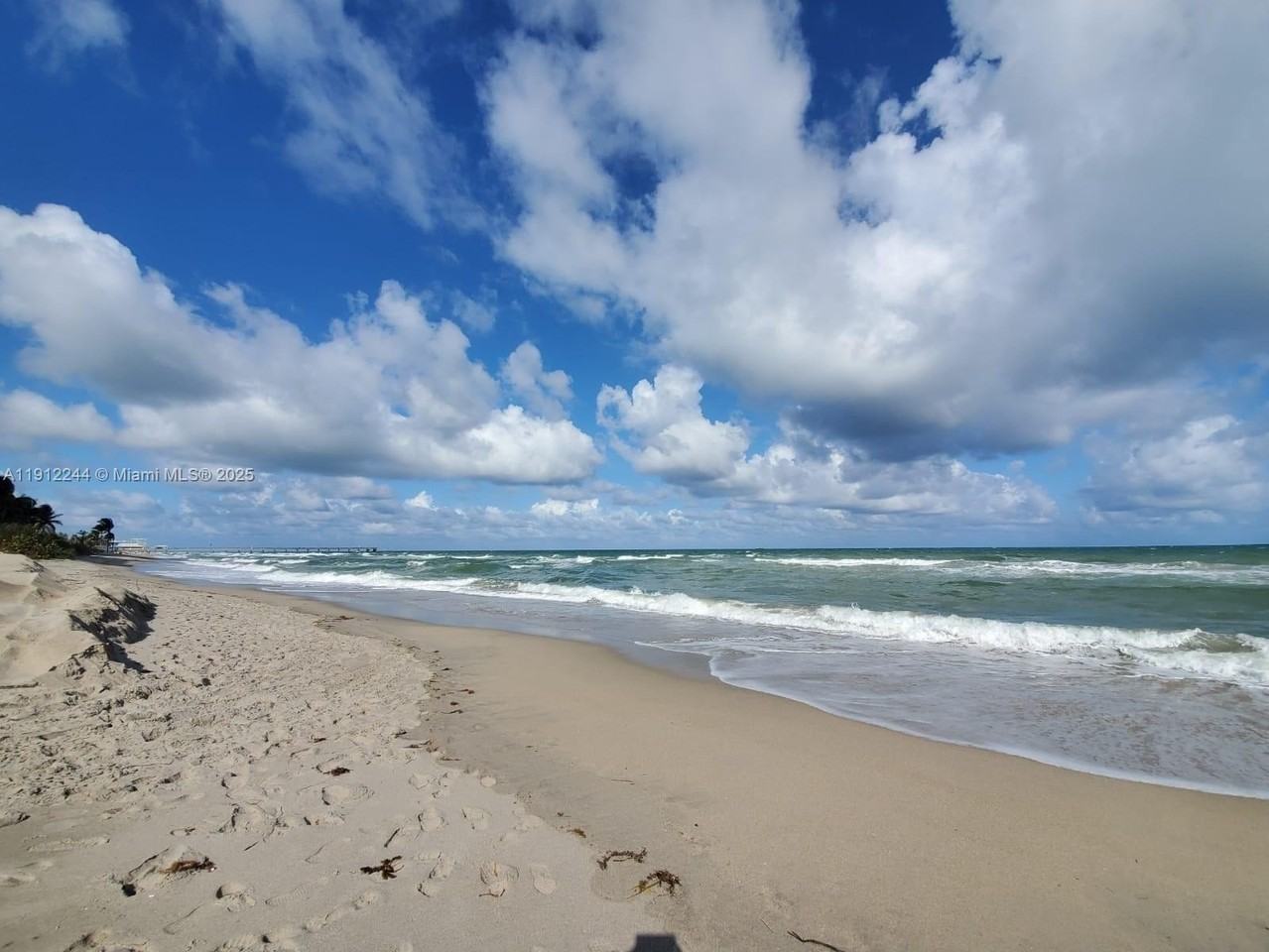 302 Balboa St #0 - Photo 6 of 50