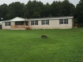 5412 Tal Dr - Photo 1 of 1