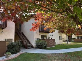 7464 Santa Ysabel Ave #C - Photo 1 of 1