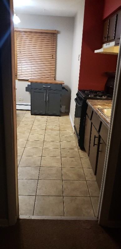 4327 Lindenwood Dr #2W - Photo 6 of 12