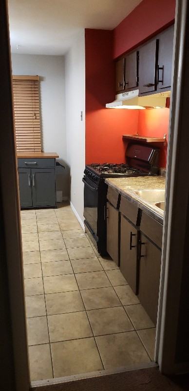 4327 Lindenwood Dr #2W - Photo 7 of 12