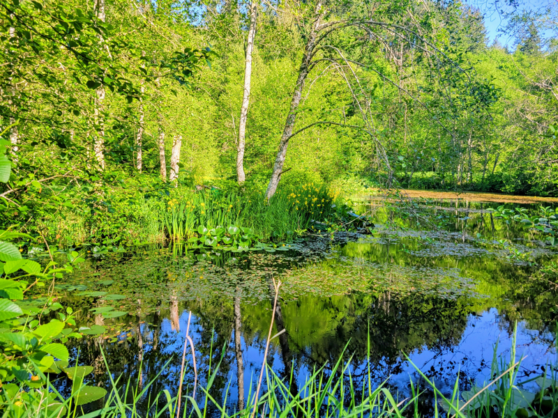 1310 Oyster Creek Ln - Photo 2 of 5