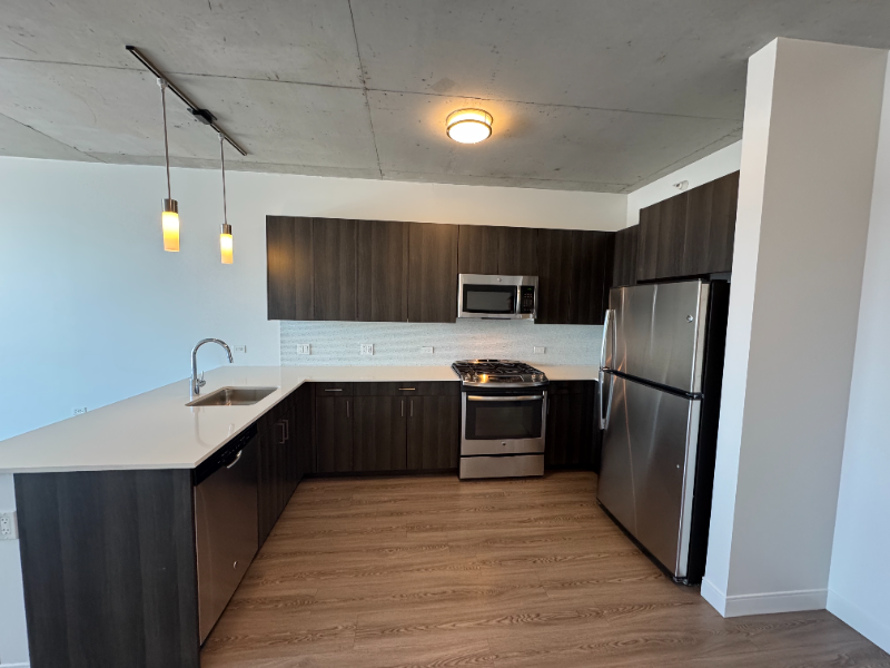 1001 W Chicago Ave - Photo 3 of 20