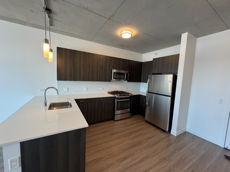 1001 W Chicago Ave - Photo 4 of 20