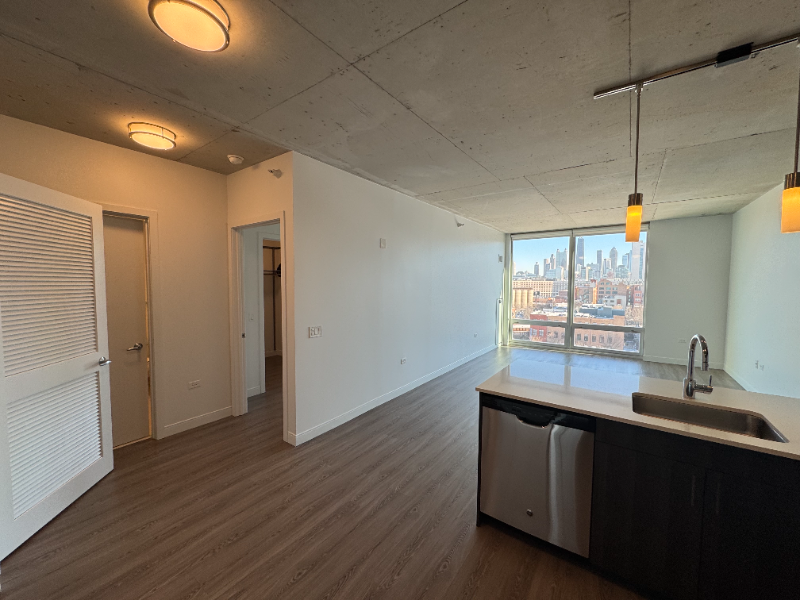 1001 W Chicago Ave - Photo 5 of 20