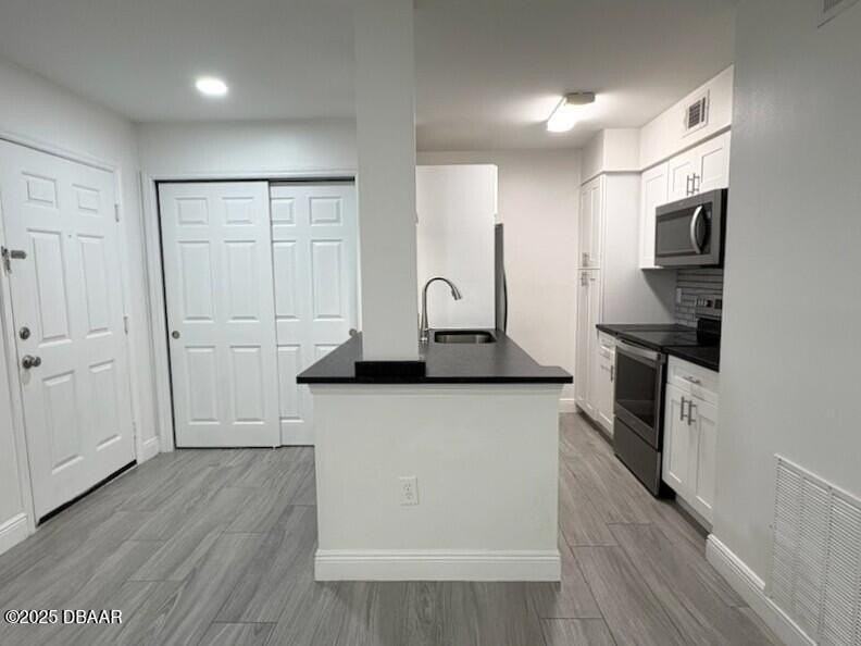 1401 S Palmetto Ave Apt 203 #203 - Photo 4 of 16