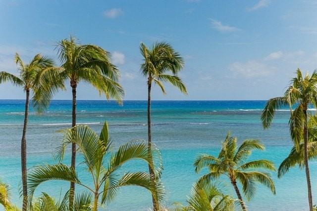 4999 Kahala Avenue #350 - Photo 7 of 13