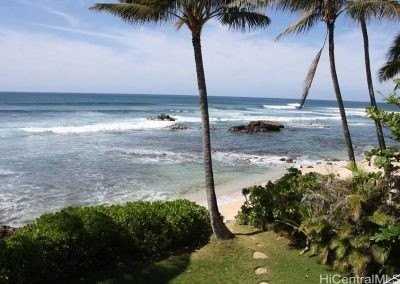 61-313 Kamehameha Hwy #U - Photo 3 of 25