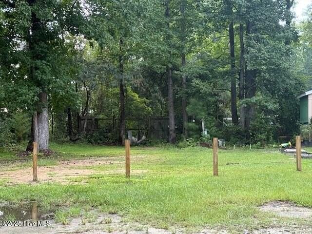 3205 Mt Misery Rd Ne - Photo 3 of 3