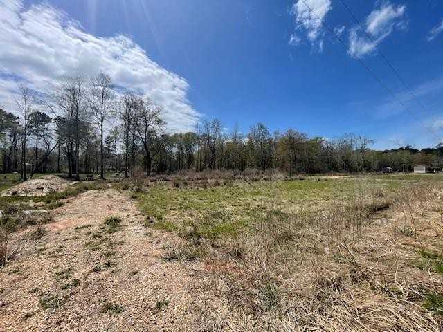 16248 Buddy D Lane - Photo 2 of 6