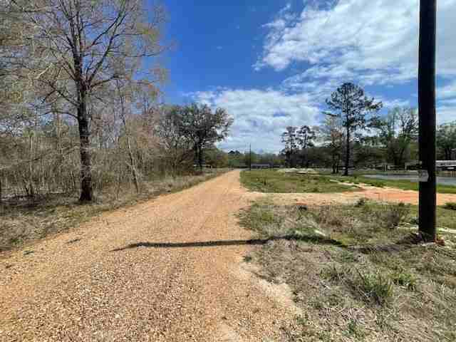 16248 Buddy D Lane - Photo 3 of 6