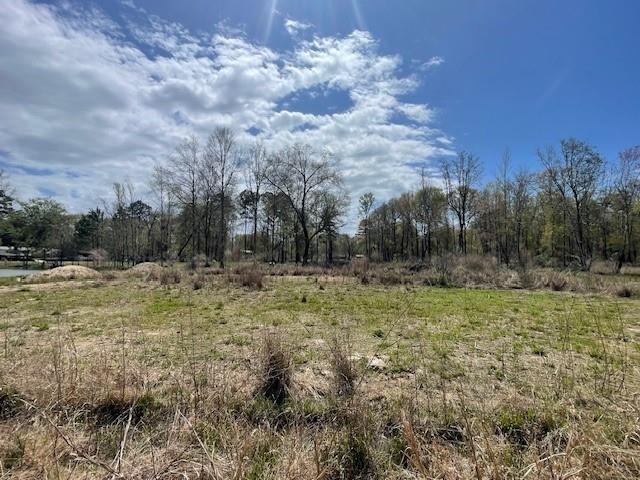 16248 Buddy D Lane - Photo 4 of 6