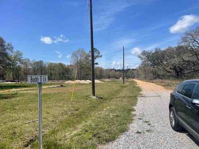 16248 Buddy D Lane - Photo 5 of 6