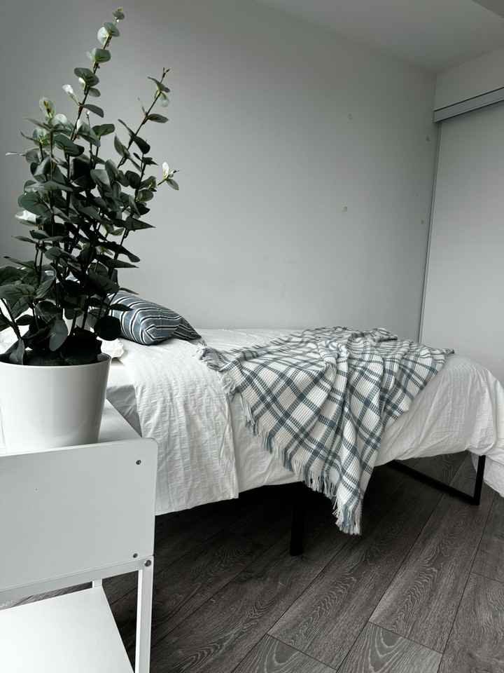 159 Wellesley Street East - Photo 3 of 7