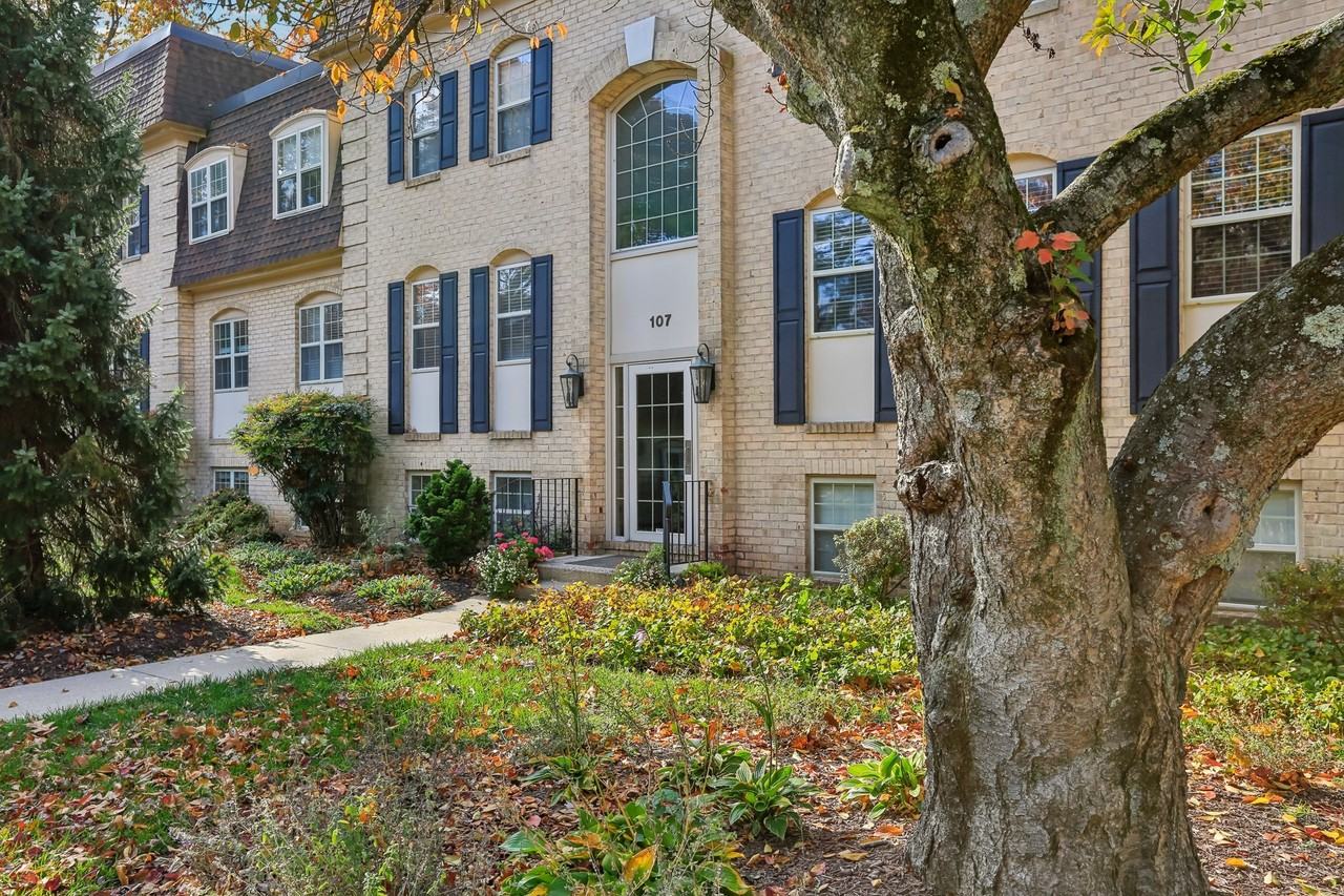 Versailles Apartments - Photo 5 of 28