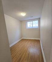 62 Murrie Street - Photo 1 of 1