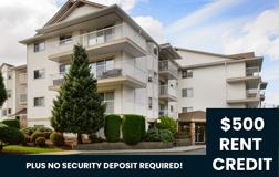 33467 Bevan Avenue #402 - Photo 1 of 1