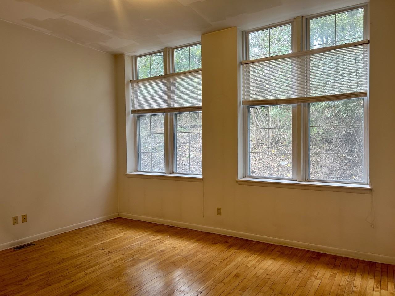 47 Baltimore Street - Photo 6 of 9