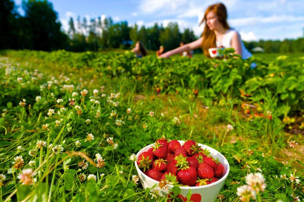 1517 Tristar Dr - Photo 4 of 30