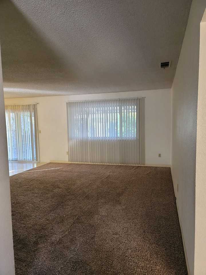 1031 Fallbrook Dr - Photo 4 of 24