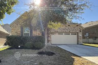 10612 Hibiscus Cv - Photo 1 of 1