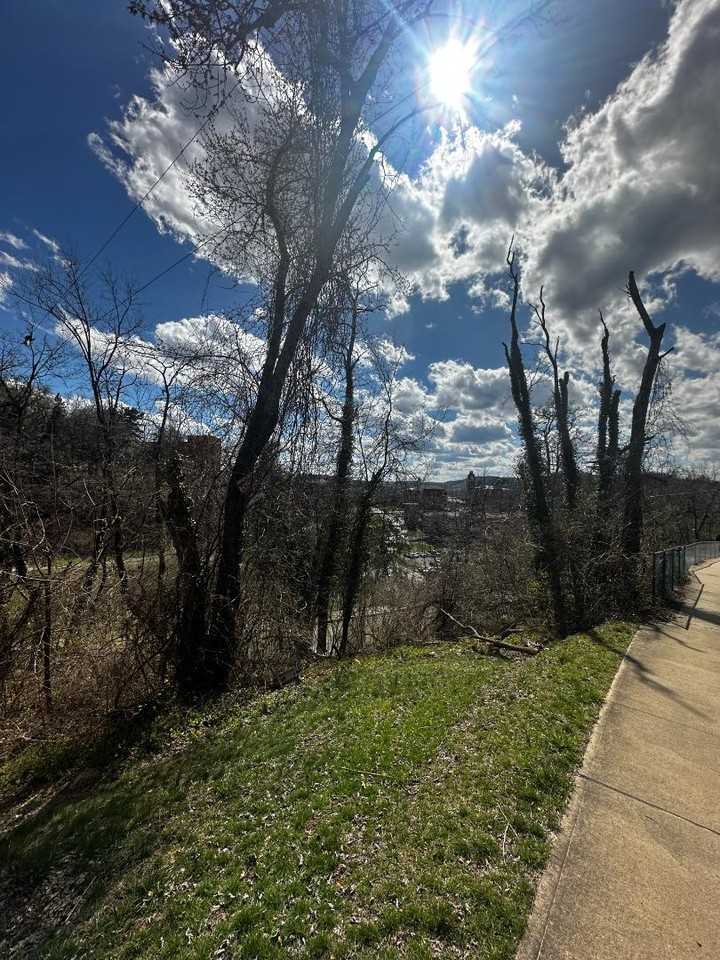 320 Stewart Street - Photo 2 of 2