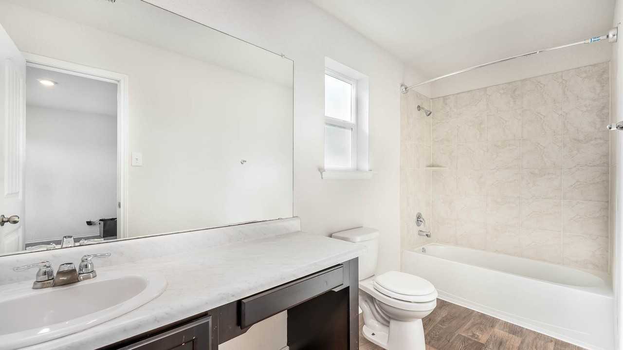 206 Moscovy Duck #NA - Photo 3 of 16