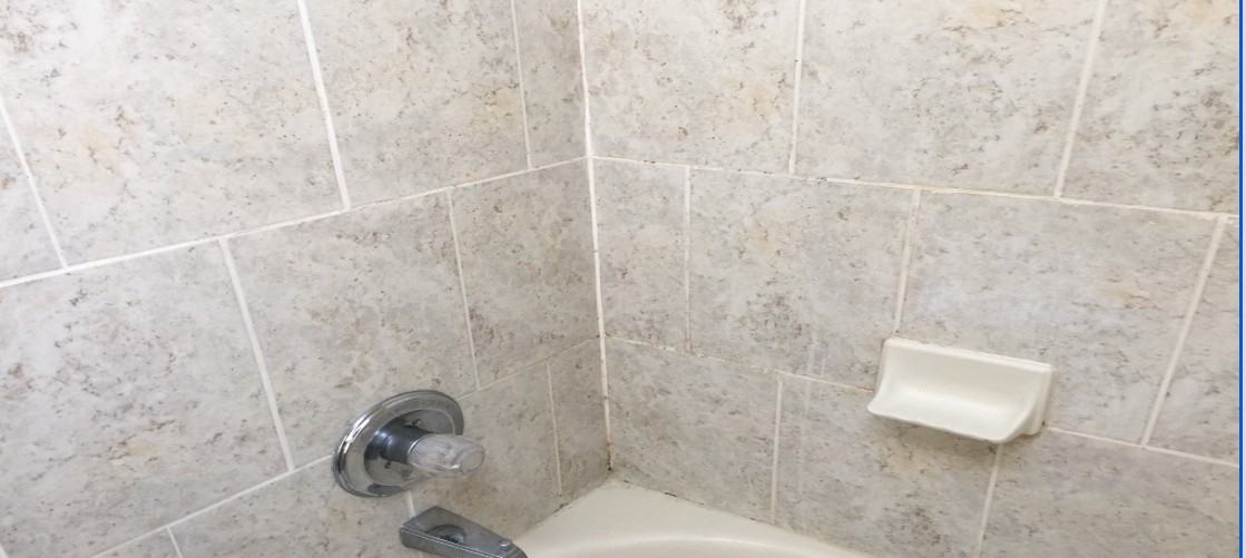 875 Millers Cottage Ln #875 - Photo 3 of 7