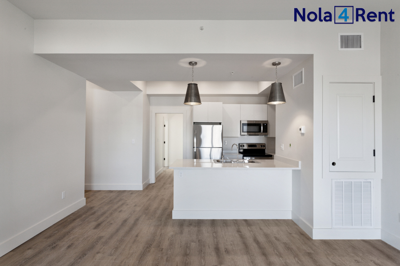 3001 Conti - Photo 2 of 29