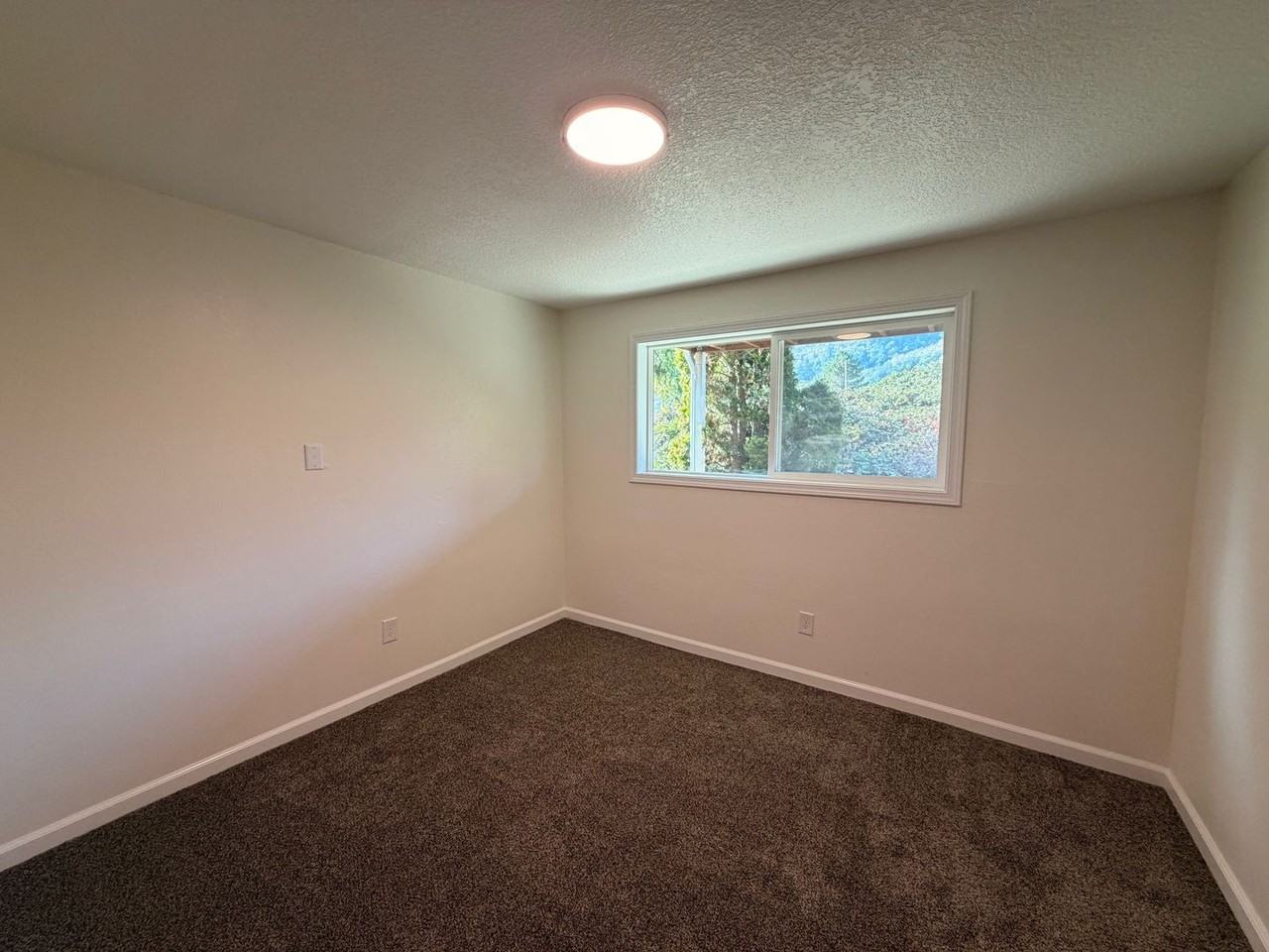 augh - Photo 6 of 14