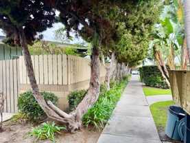 Village Pines - Photo 1 of 1