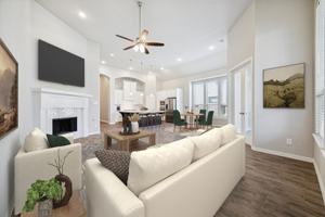 featured image of 28418 Asher Falls Lane