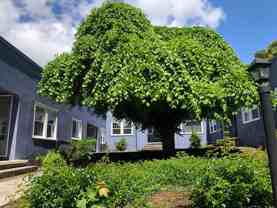 2023-2051 SE Madison - Photo 1 of 1