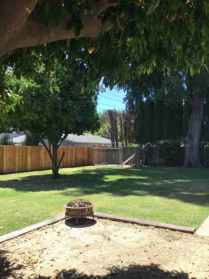 558 Winslow Dr - Photo 6 of 20