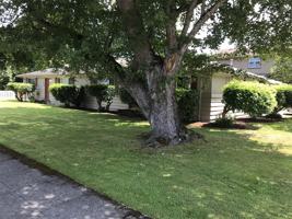 featured image of 302 Bendigo Boulevard North