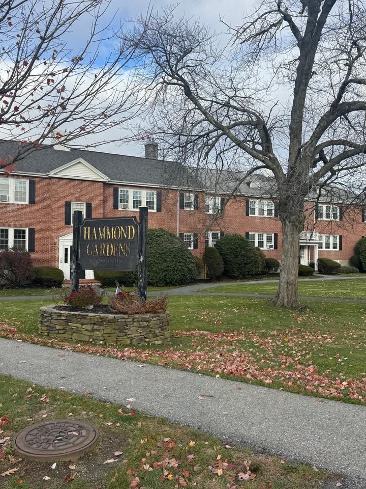 31 Hammond Pond Pkwy #2 - Photo 4 of 13