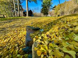 featured image of 4502 State Route 17b