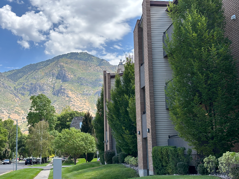 284 En #8 - Photo 2 of 18