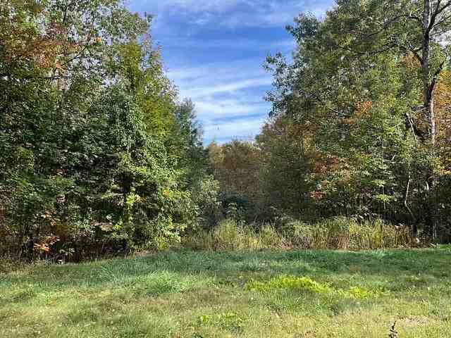 310 Chapman Rd - Photo 4 of 18