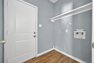 9755 Black Gum #9755 - Photo 1 of 1