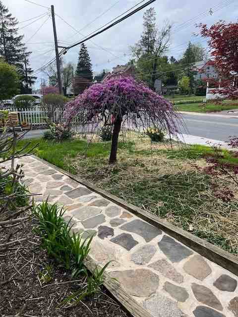 140 West Evergreen Street #NA - Photo 3 of 36