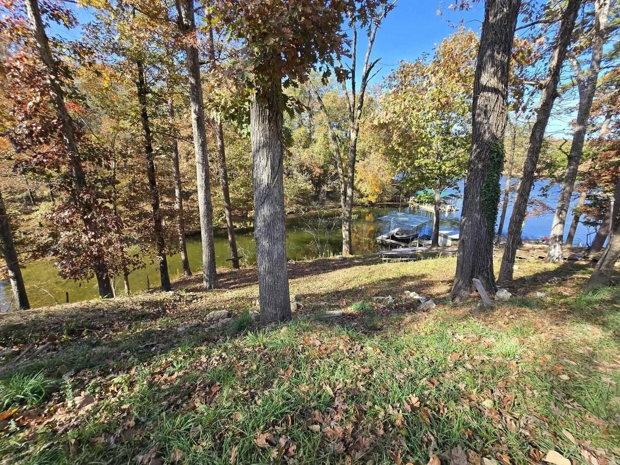 17630 Bream - Photo 2 of 22