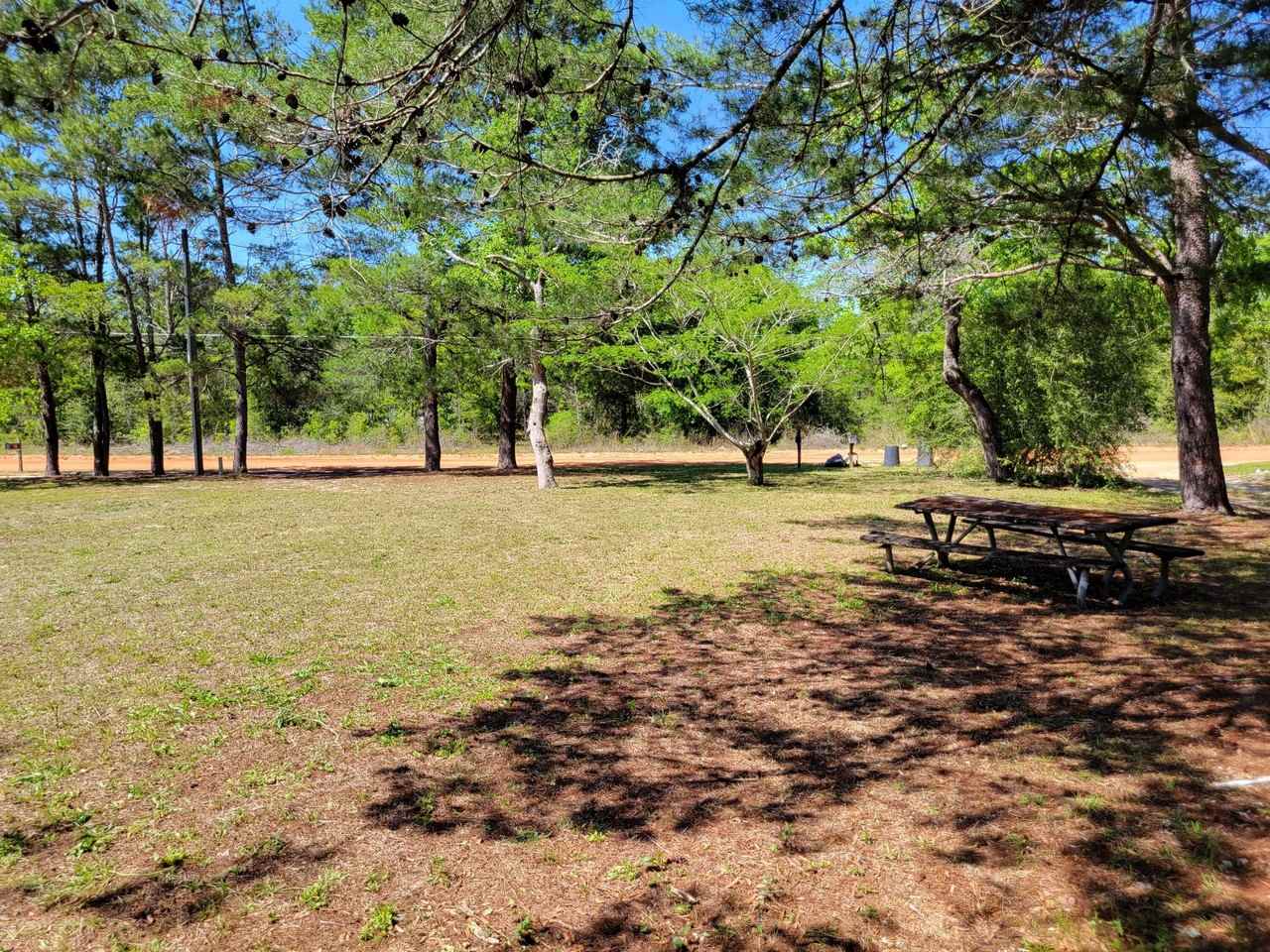 63 W Oleander Ave - Photo 3 of 5