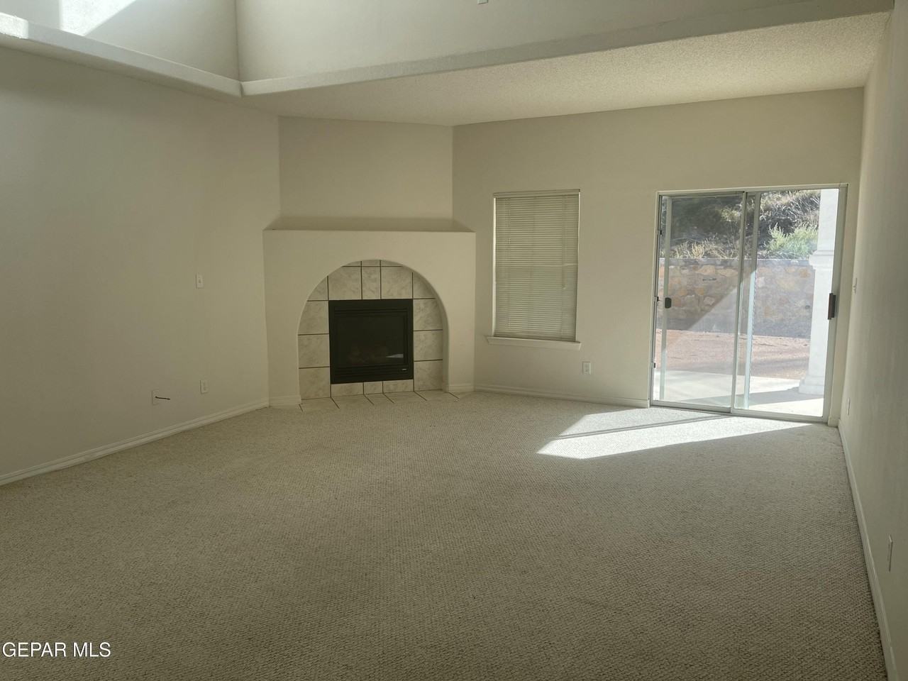 7344 Prickley Pear Dr - Photo 4 of 11