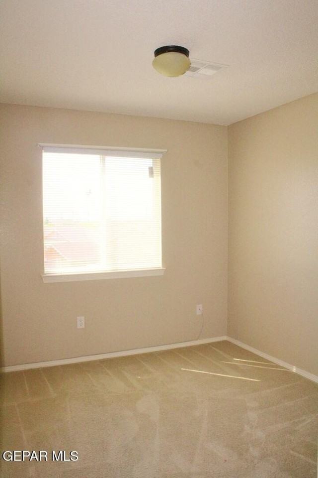 4629 Lolo Caldera Way - Photo 7 of 13